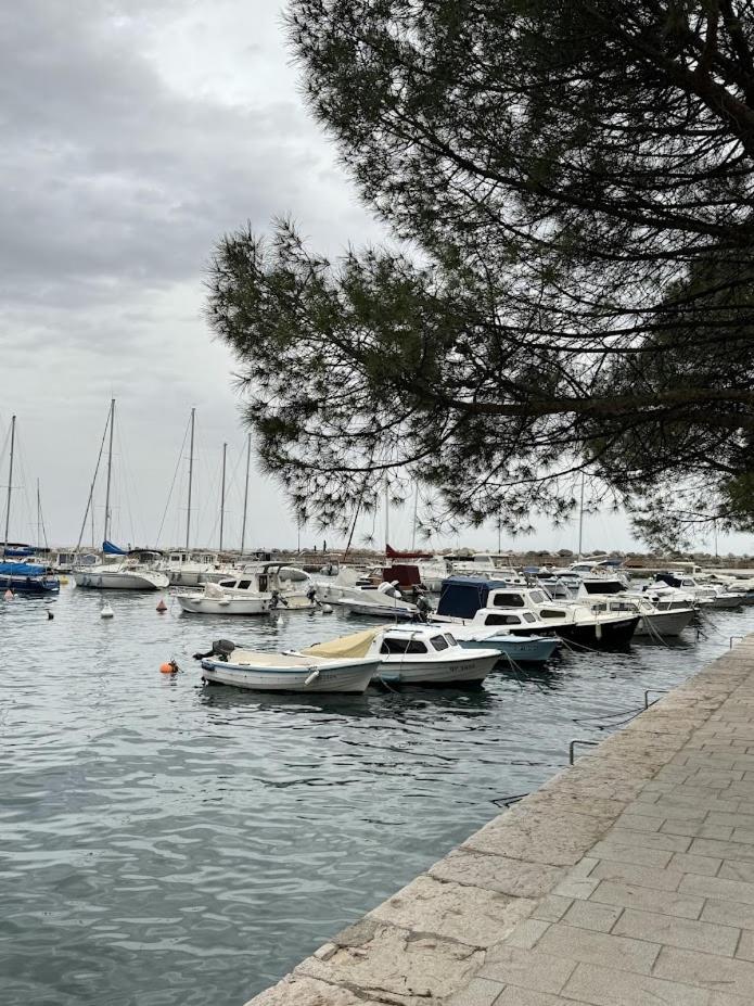 Vila Mila Volosko Opatija Eksteriør billede